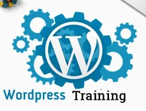 WordPress Course For Beginners